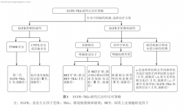 解读EGFR突变肺癌靶向治疗耐药后应对策略专家共识（2025版）