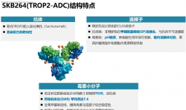 “砰”！国产新药获批，击穿肺癌靶向治疗耐药的“子弹”来了！