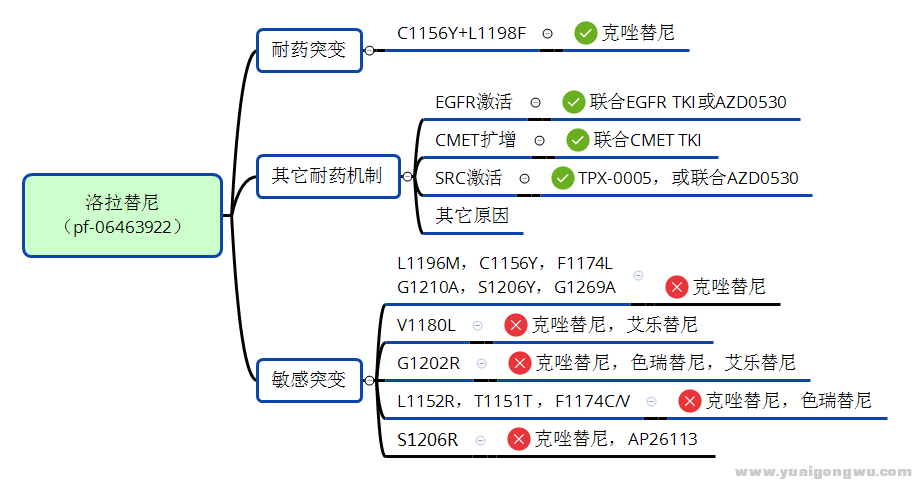 3922树状图.png