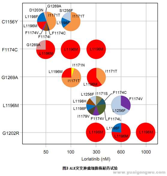 洛拉替尼的耐药机制5.jpg