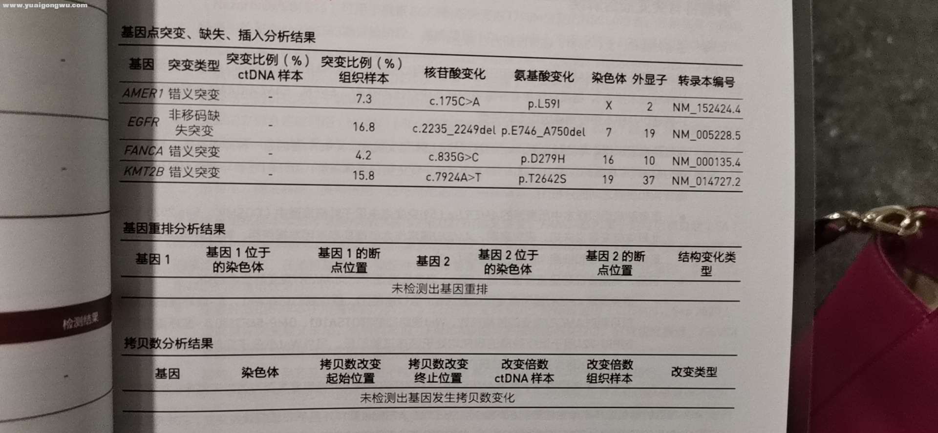 基因检测报告2