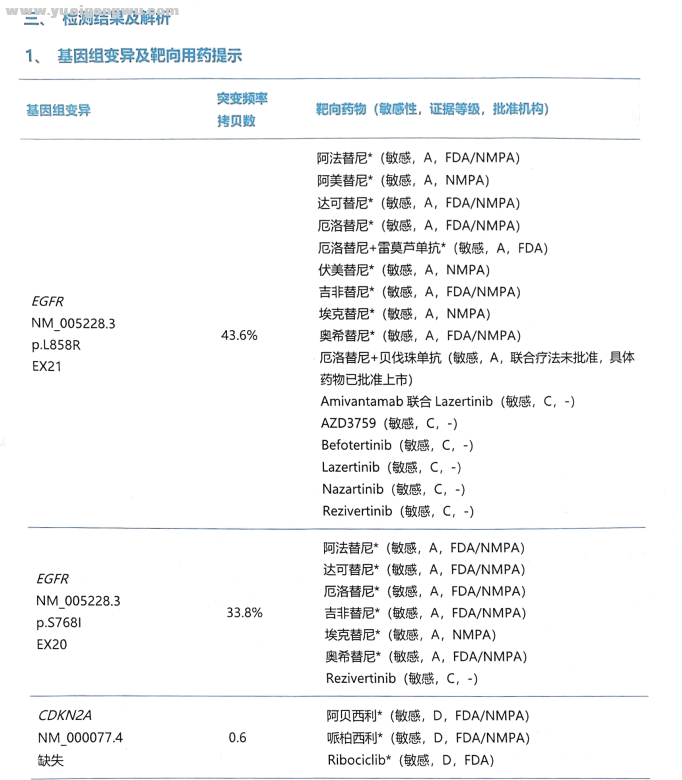 基因检测结果